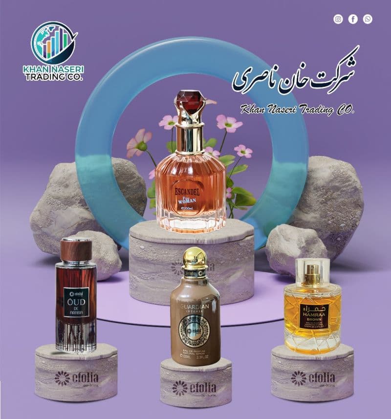 Khan Naseri Trading Company branding and market presence